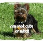 Tim Houk - @houktim - Instagram