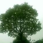Tim Hout - @houttim - Instagram