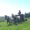 Tim Hovdestad - @timhovdestad - TikTok
