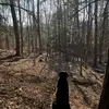 Tim Howe - @tim.howe - TikTok