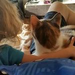 Tim Howells - @shiny_vince - Instagram