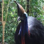 Tim Howes - @drtimhowes - Instagram