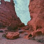 Tim Howes - @verbatim__ - Instagram