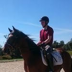 Tim Howland - @timmyh_79 - Instagram