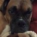 Tim Howley - Facebook