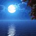 Tim Hoyer - Facebook