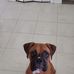 Tim Hoyle - Facebook