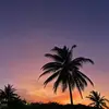 Tim Hu - @tim.hu37 - TikTok