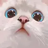 tim huli77 - @tim.huli77 - TikTok