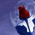 TIM HUB - Facebook