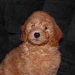 Tim Hubert - @tjh00905 - Instagram