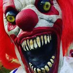 big tim2 - @timothy.huckabee - Instagram