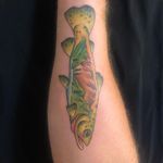 Tim Huckaby - @muleditch - Instagram