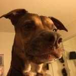 Tim Huddleston - @tmhuddleston - Instagram