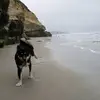 Tim Huerta252 - @timhuerta252 - TikTok