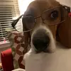 Tim Huffine - @timhuffine00 - TikTok
