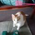 Tim Huffines - Facebook
