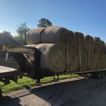Tim Huffman - @huffmanangusfarm97 - Instagram