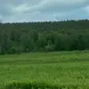 Tim-Hugo - @timhugoe - TikTok