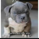 Tim Huguley - @tim.huguley.12 - Instagram