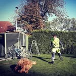 Tim Hülsebusch - @timhulsebusch - Instagram