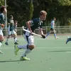 Tim - @timhulscher3 - TikTok