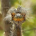 Tim Hulse - @hulse.tim - Instagram