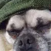 Tim Hulsey - @tim.hulsey - TikTok