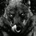 Timothy Hulsey - Facebook