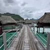 JL - @notabotimhuman - TikTok