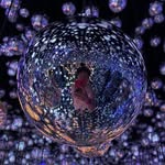 Tim Hung - @timmy_ohnlan9 - Instagram