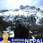 Tim Hung - @timhung99 - Instagram