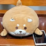 洪兆廷 - @timhung1688 - Instagram