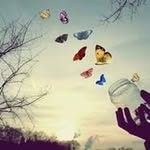 ttim - @tim_hunny - Instagram