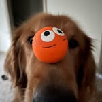 Tim Hunnell - @timhunnell - Instagram