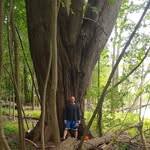 Tim Hunsinger - @hunsingertim - Instagram