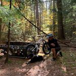 Tim Hunt - @tim_hunt_ - Instagram