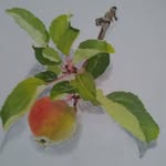 Tim hunt - @arty_veg9 - Instagram