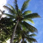 Tim Hunter - @timhunter - Instagram