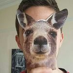 Tim Hurd - @hurdytim - Instagram