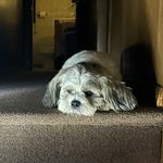 Tim Hurd - @graciemaystealyourheart - Instagram