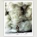 Tim Hurlocker - Facebook