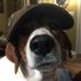Tim Huesgen - Facebook