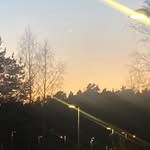 Timo - @huska_timo - Instagram