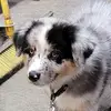 timhuston588 - @timhuston588 - TikTok