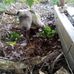 Timothy Hutcheson - Facebook