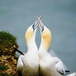 Tim Hutchinson - @olddrone58 - Instagram