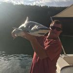 Tim Hutchinson - @timhutcho67 - Instagram