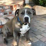 Tim Hutchison - @eby1tsh - Instagram