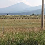 Tim Hutchison - @tim.hutchison.71 - Instagram